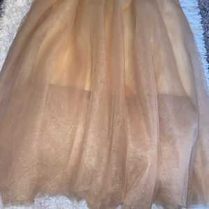 Tulle Skirt
